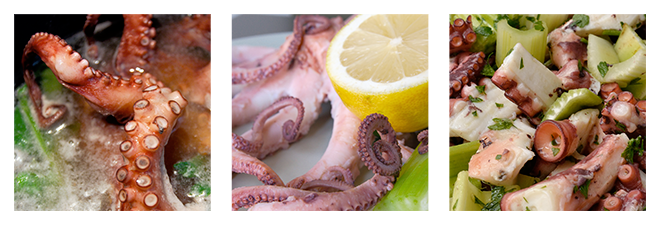 Insalata di Polpo