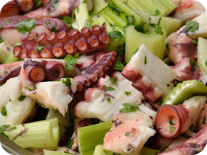 Insalata di Polpo