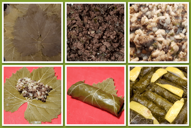 Préparation des dolmades / dolmas